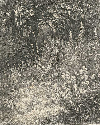 Шишкин Иван Иванович. Лесные цветы